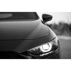 SCENIC III avec déclinaisons