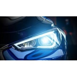 SCENIC III avec déclinaisons