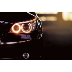 SCENIC III avec déclinaisons